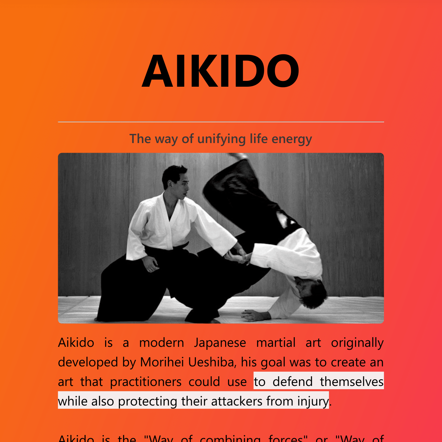 Aikidoo project preview